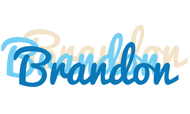 Brandon breeze logo