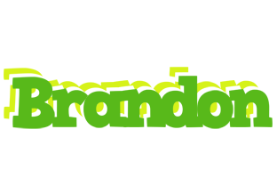 Brandon picnic logo