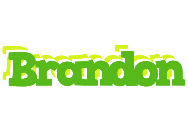 Brandon picnic logo