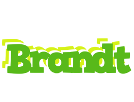 Brandt picnic logo