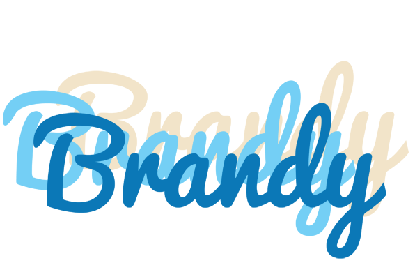 Brandy breeze logo