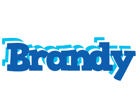 Brandy business logo