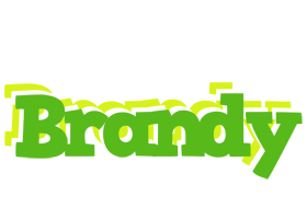 Brandy picnic logo