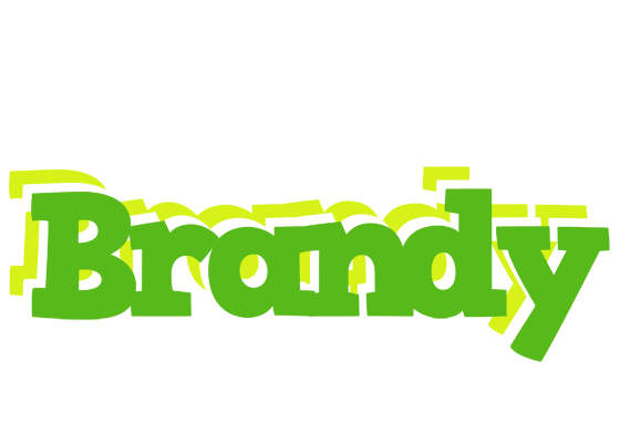 Brandy picnic logo