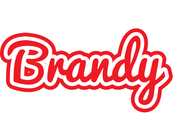 Brandy sunshine logo