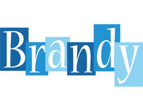 Brandy winter logo