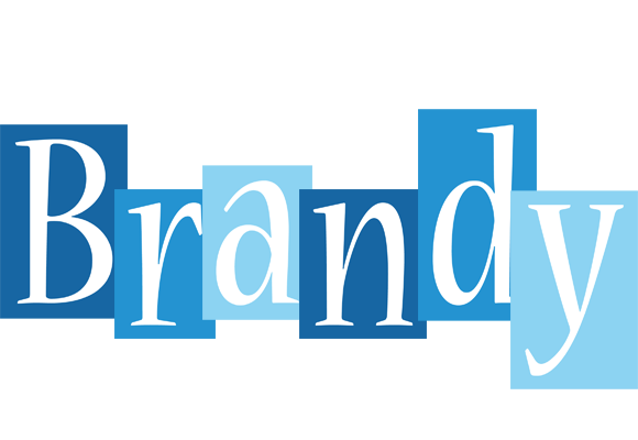 Brandy winter logo