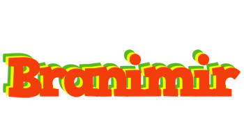 Branimir bbq logo