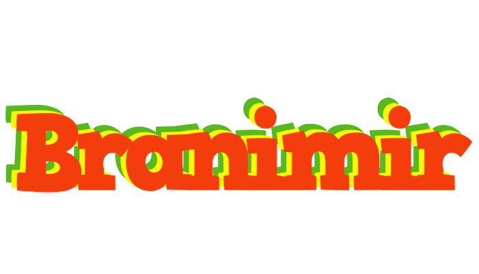 Branimir bbq logo