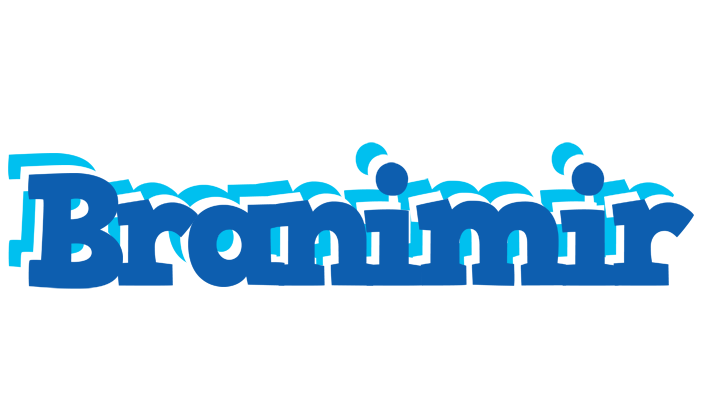 Branimir business logo