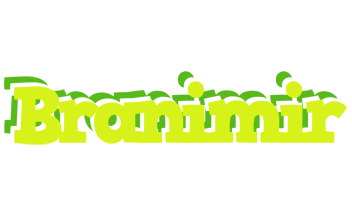 Branimir citrus logo