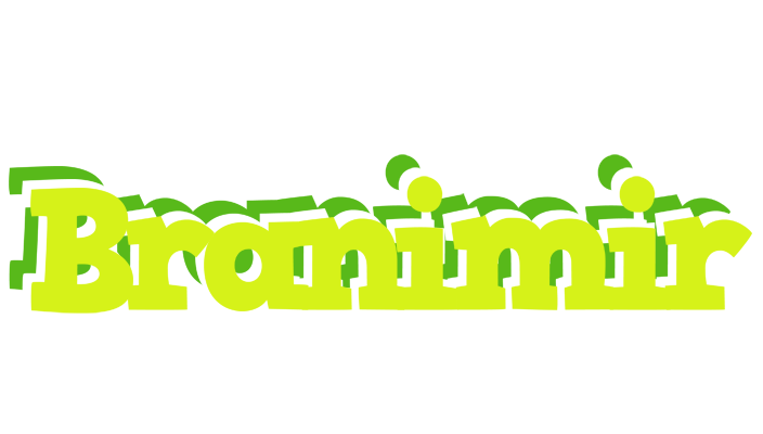 Branimir citrus logo