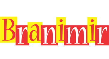 Branimir errors logo