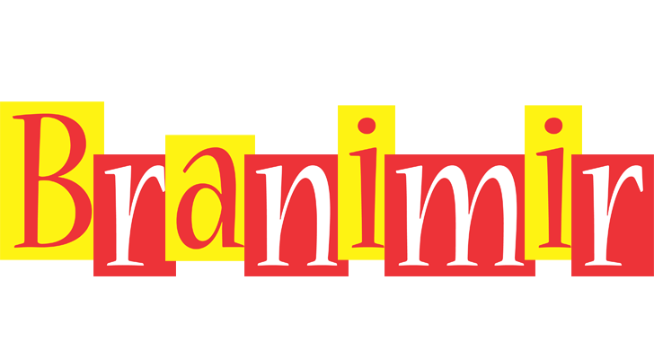 Branimir errors logo