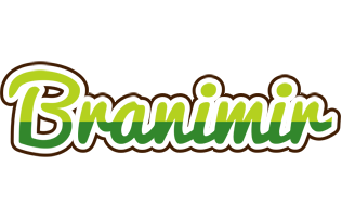 Branimir golfing logo