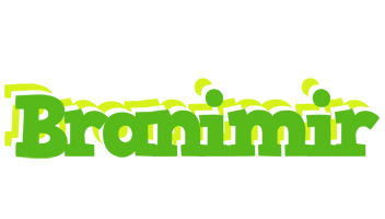 Branimir picnic logo