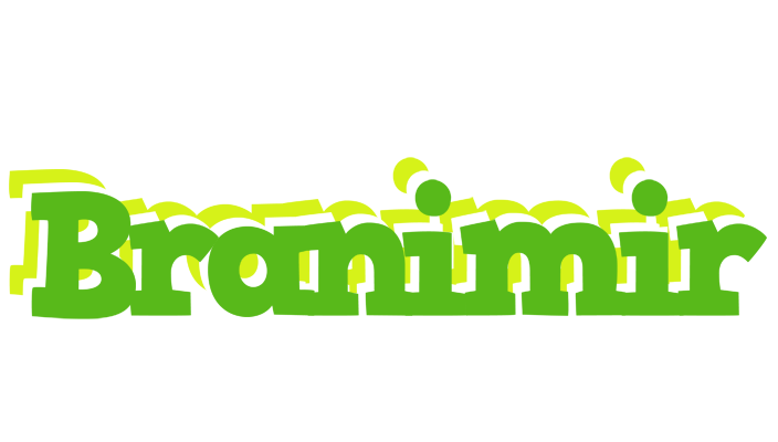 Branimir picnic logo