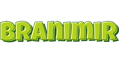 Branimir summer logo