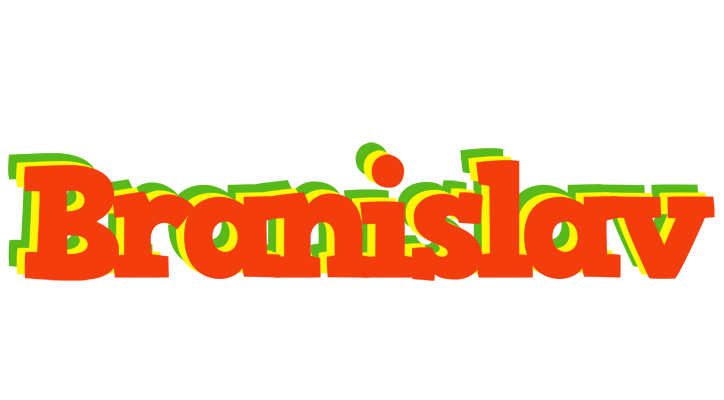 Branislav bbq logo