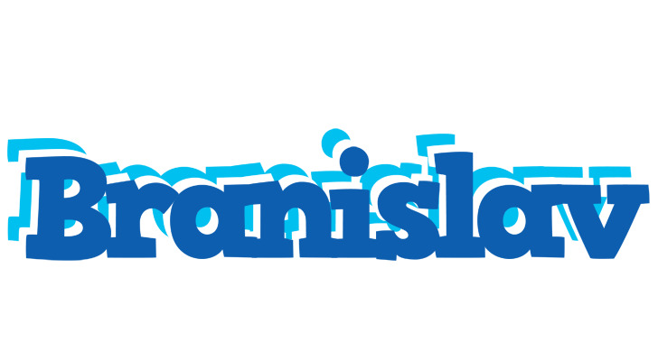 Branislav business logo