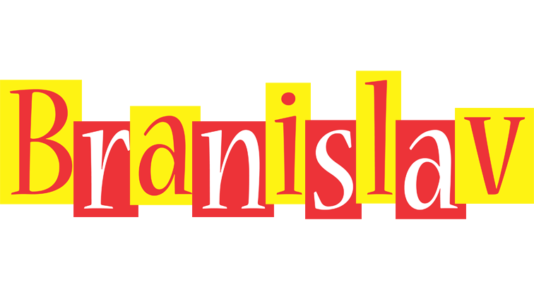 Branislav errors logo