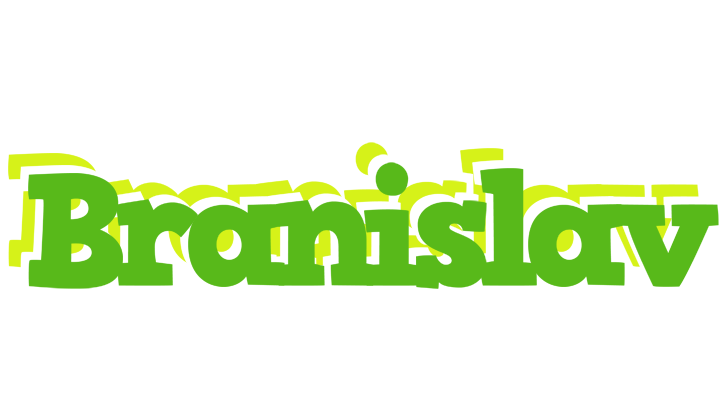 Branislav picnic logo