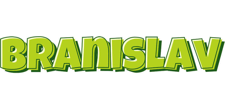 Branislav summer logo