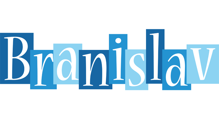 Branislav winter logo
