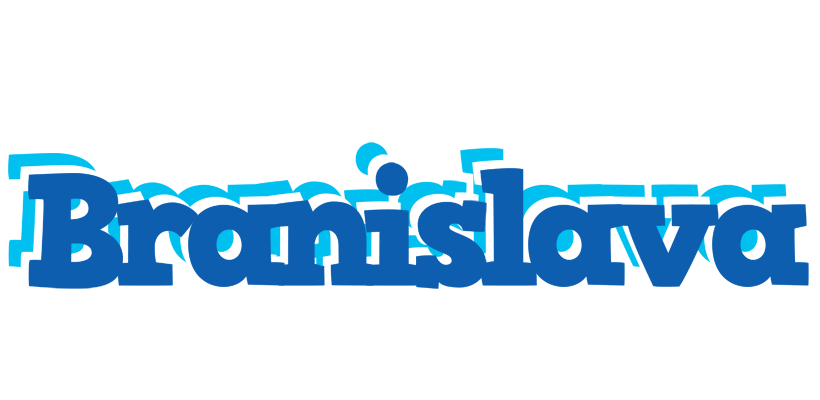 Branislava business logo