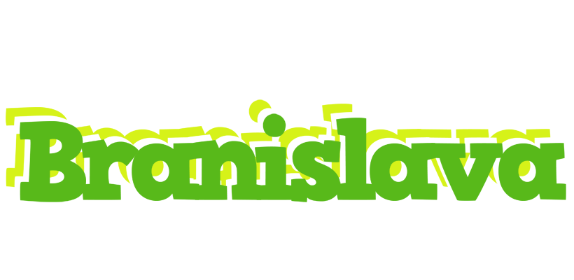 Branislava picnic logo