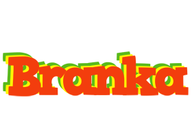 Branka bbq logo