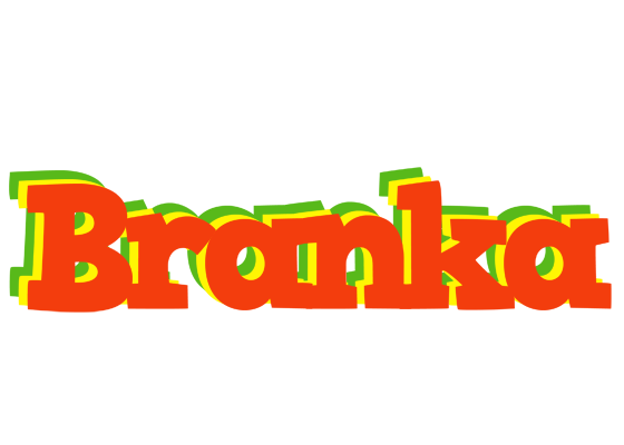 Branka bbq logo