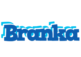 Branka business logo