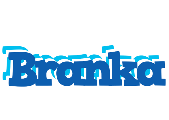Branka business logo