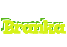 Branka citrus logo