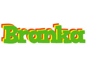 Branka crocodile logo