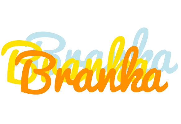 Branka energy logo