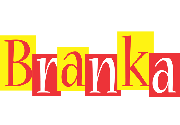 Branka errors logo