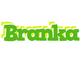 Branka picnic logo