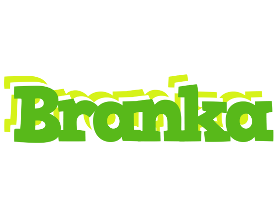 Branka picnic logo