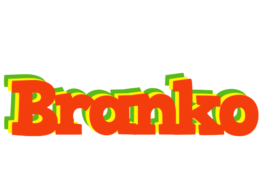 Branko bbq logo