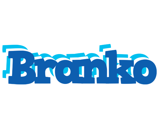 Branko business logo
