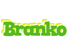 Branko picnic logo