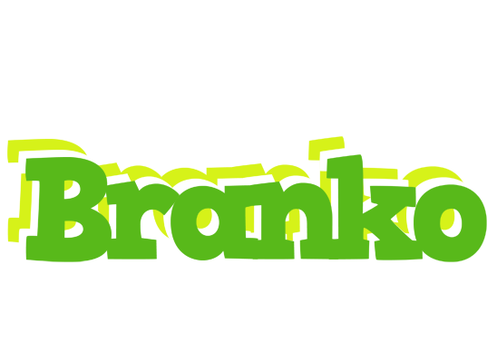 Branko picnic logo