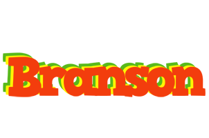 Branson bbq logo