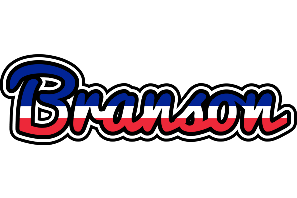 Branson france logo
