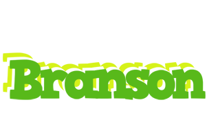 Branson picnic logo