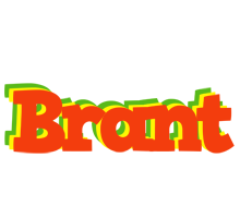 Brant bbq logo