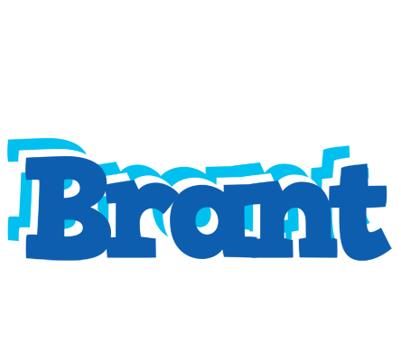 Brant business logo