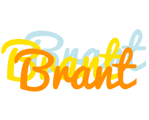 Brant energy logo